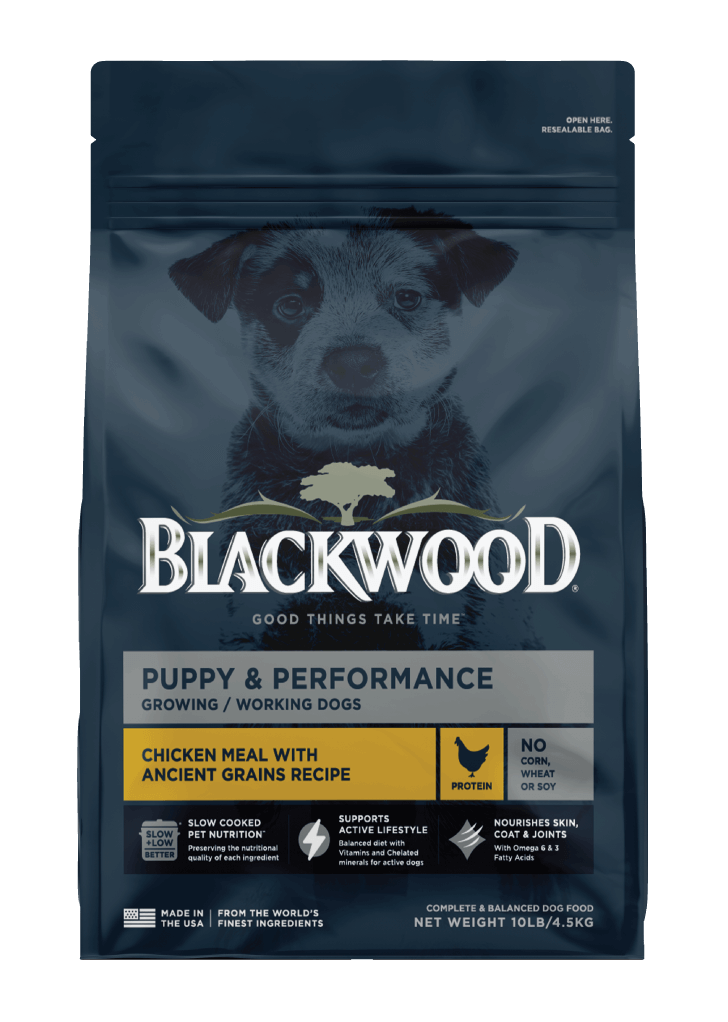 Puppy & Performance Chicken Meal With Ancient Grains Recipe Dry Dog Food