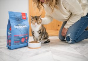 Home Page | Blackwood Pet Food