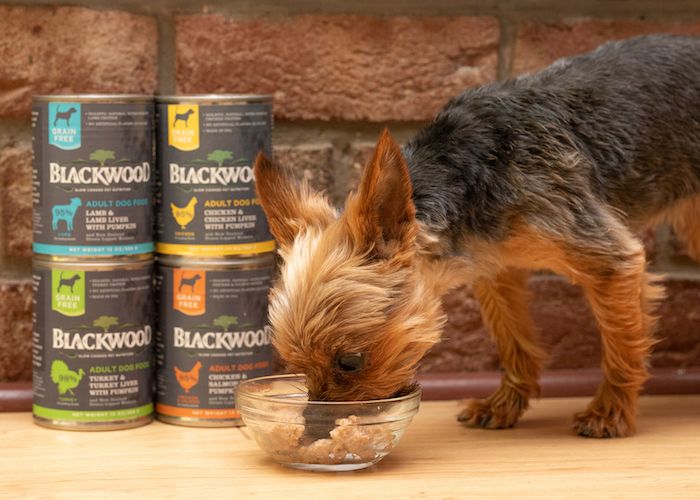 Blackwood Cares  Blackwood Pet Food